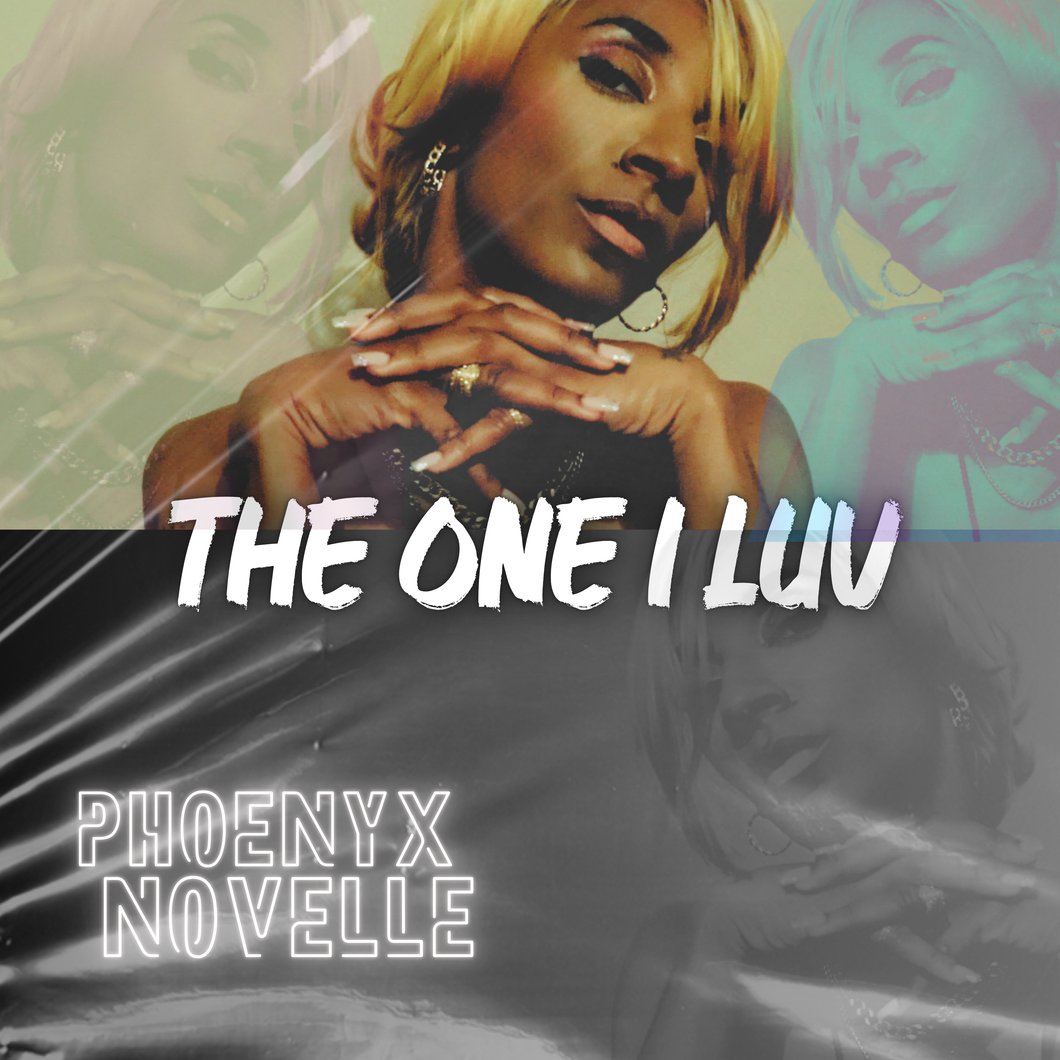 The One I LUV - Music Single