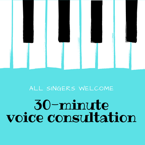 30 minute Vocal Consultation (Online)