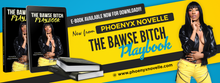 The Bawse Bitch Playbook - E-book